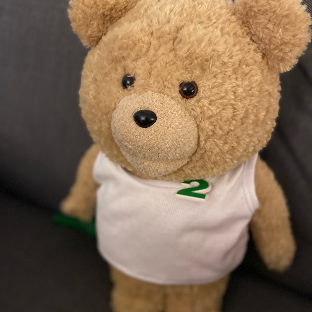 Teddy 2 bear